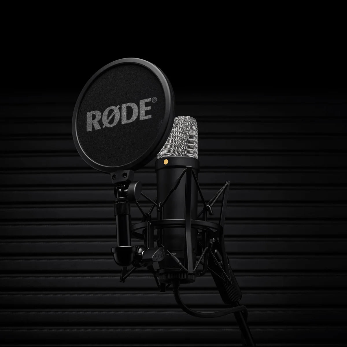Rode NT1 5th Generation Black - Micrófono condensador de estudio, XLR-USBC