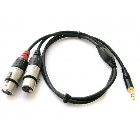Rean NRA-0140-009 Cable 2xlr/F-mini plug stereo 0.9mt