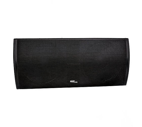 SUB BAJO PASIVO Skp SK1218NEO