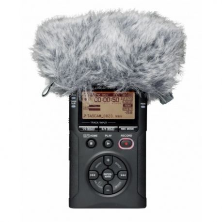 Tascam WS11