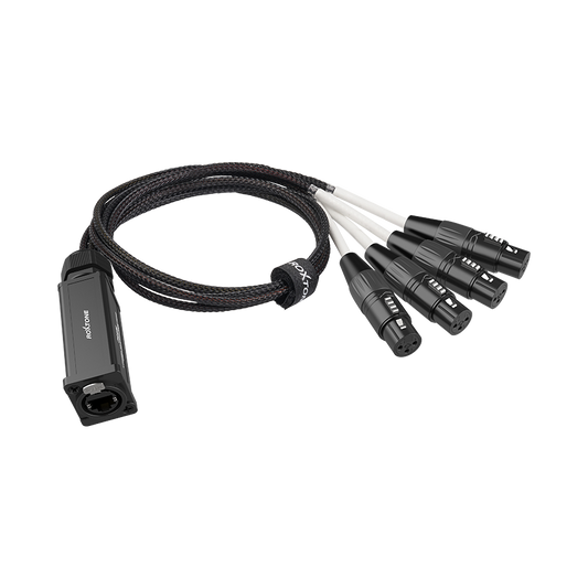 ROXTONE PS4F SPLITTER CAT5 - XLR H
