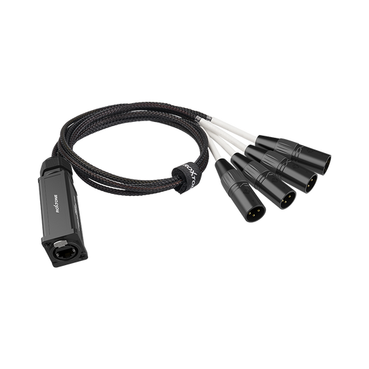 Roxtone PS4M Splitter CAT5 - XLR Macho