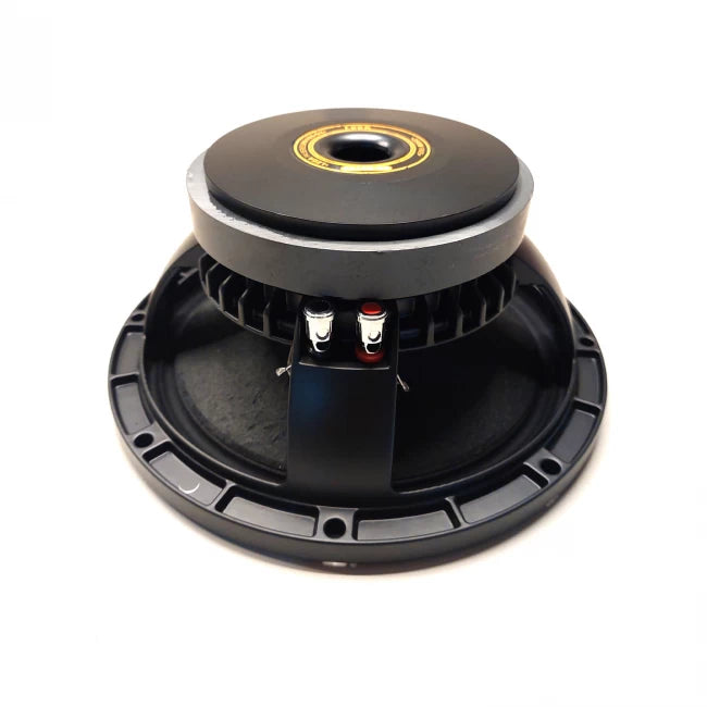 LEEA PA10S-G2´ PARLANTE 10" 250W RMS