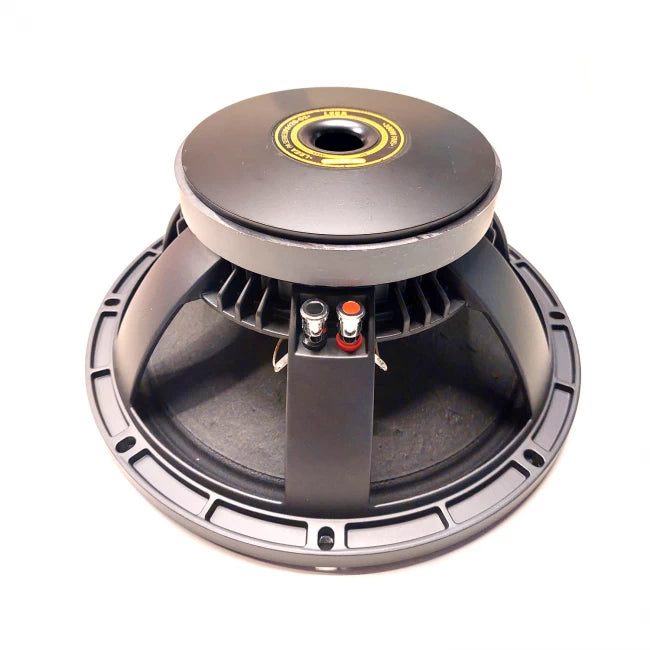 LEEA PA12S-G2 | PARLANTE 12" 350W RMS